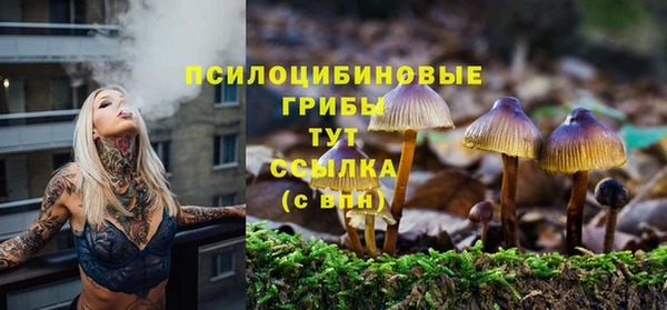 не бодяженный Богданович