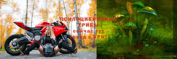 не бодяженный Бородино
